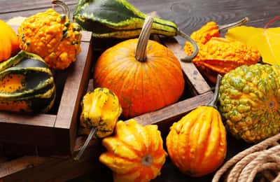 Foods for Hemorrhoids: 15 Best Foods to Prevent and Ease Symptoms