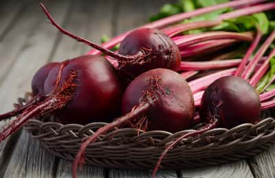 Foods for Lung Health: 20 Nutrient-Rich Choices to Boost Lung Function