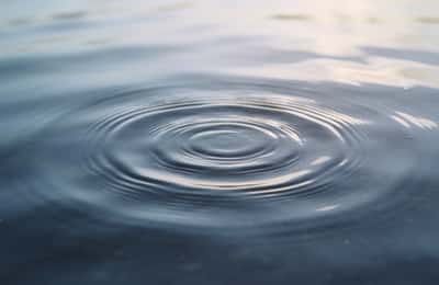 Polyvagal Theory: What It Says and What the Science Shows
