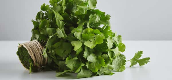 Coriander Substitutes: 7 Best Alternatives for Seeds and Cilantro Leaves