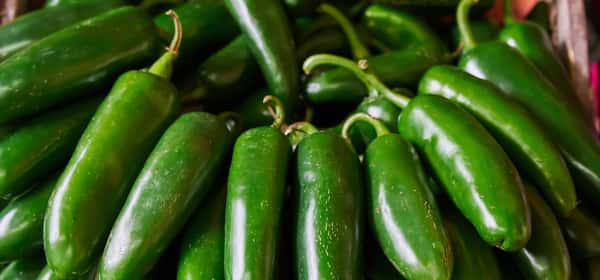 Health Benefits of Jalapeños: Nutrition and Wellness