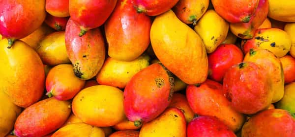 Health Benefits of Mango: Nutritional Value and Wellness Advantages