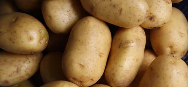 Health Benefits of Potatoes: 7 Evidence-Based Nutrition Advantages