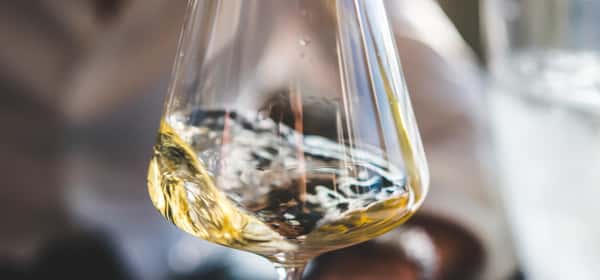 Is Wine Vegan? Discover the Truth About Vegan Wine